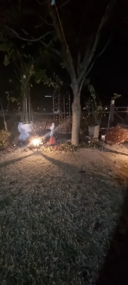 구매후기