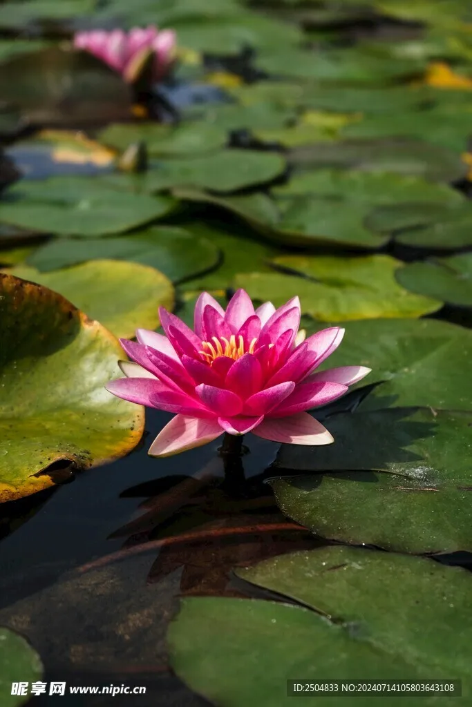 

26pcs 1/76 Road Barrier DIY Racing Track Design Drifting Race Track RC Parts Remote control car splicing stereo track