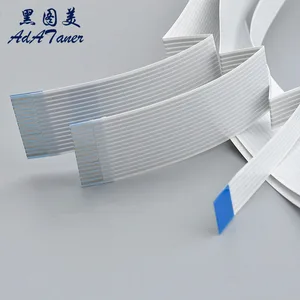 Kafadaki 6 büyük satış l1300-no. 3