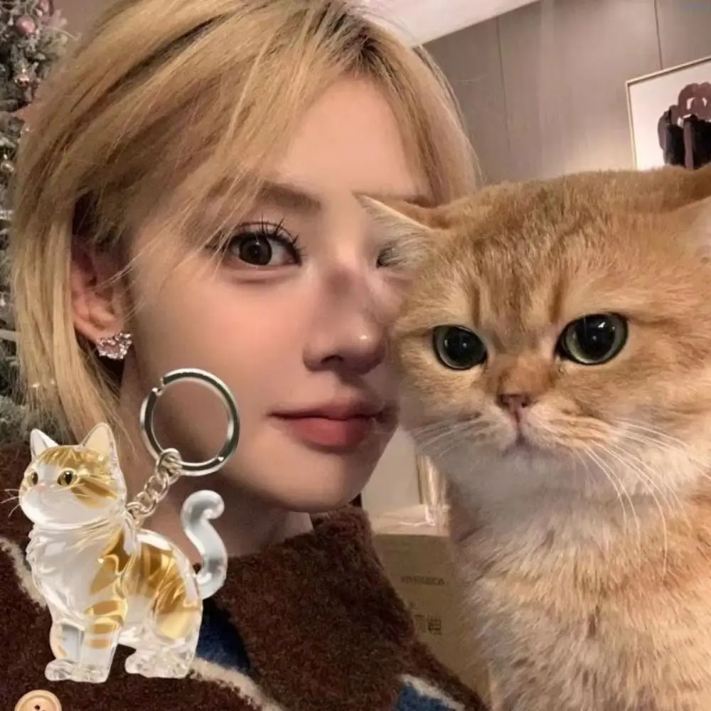 Transparent Cat Hair Acrylic Keychain Animal Shaped Siamese Cat Cat Hair Storage Box Stylish Handmade Dog Fur Storage Pendant