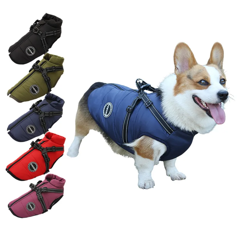 معطف كلب مقاوم للماء مع حزام كامل الصدر ، جاكيت دافئ للكلاب الصغيرة والمتوسطة الحجم ، كورجي تيدي ، لابرادور ، البلدغ الفرنسي