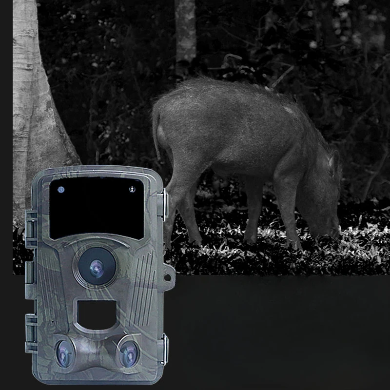 Hunting camera, remote mountain monitoring, outdoor security protection, current camera view, infrared sensing, professional