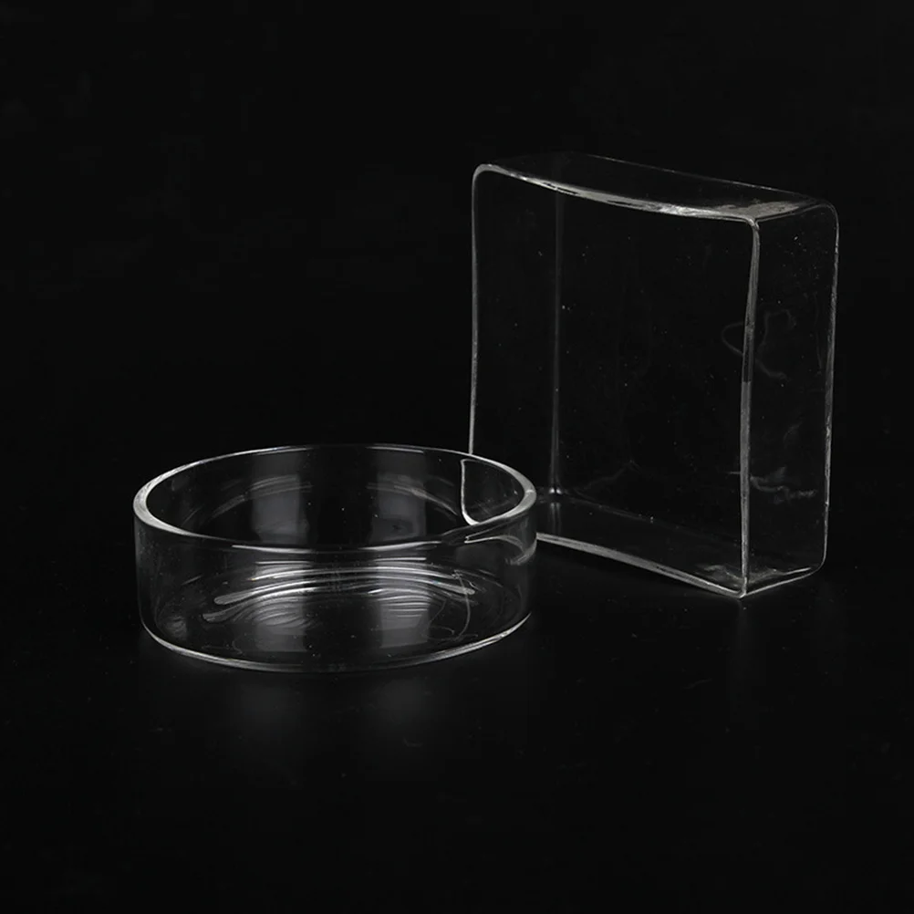 

3Pcs Shrimp Feed Dish Crystal Feeding Bowl Multipurpose Pet Feeder Transparent Basin for Reptiles Landscape Ornament