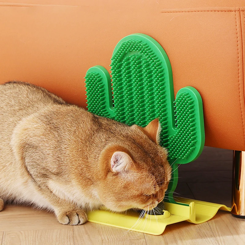 Hoopet Corner Pet Brush Comb with Catnip Play Cat Toy Cactus Bristles Massager Self Grooming Cat Scratcher