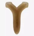 Planaria a3
