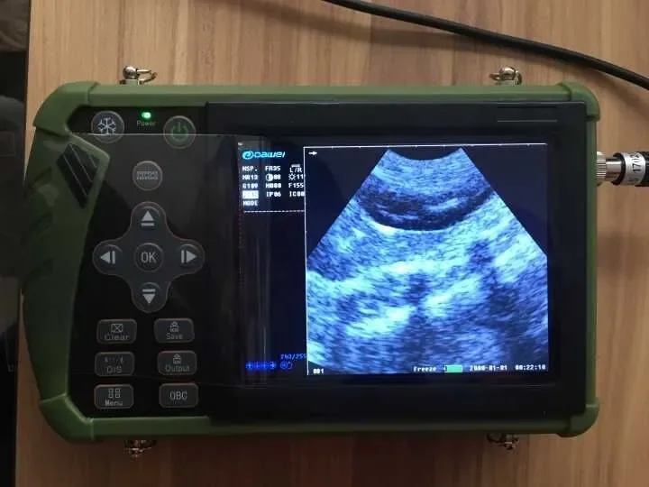 DW-VET5 Veterinary Handheld Ultrasound Device