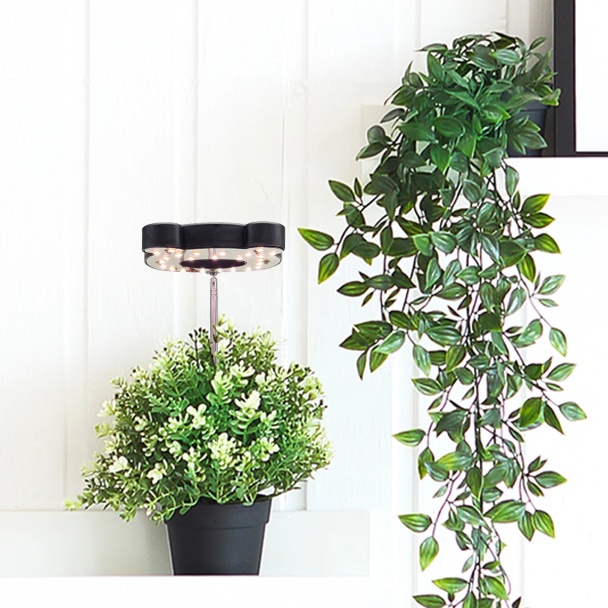 أضواء نمو النباتات ذات الطيف الكامل LED من Bear، أضواء نباتية صغيرة داخلية، أضواء نباتية، سطوع توقيت USB، تعديل الارتفاع #5