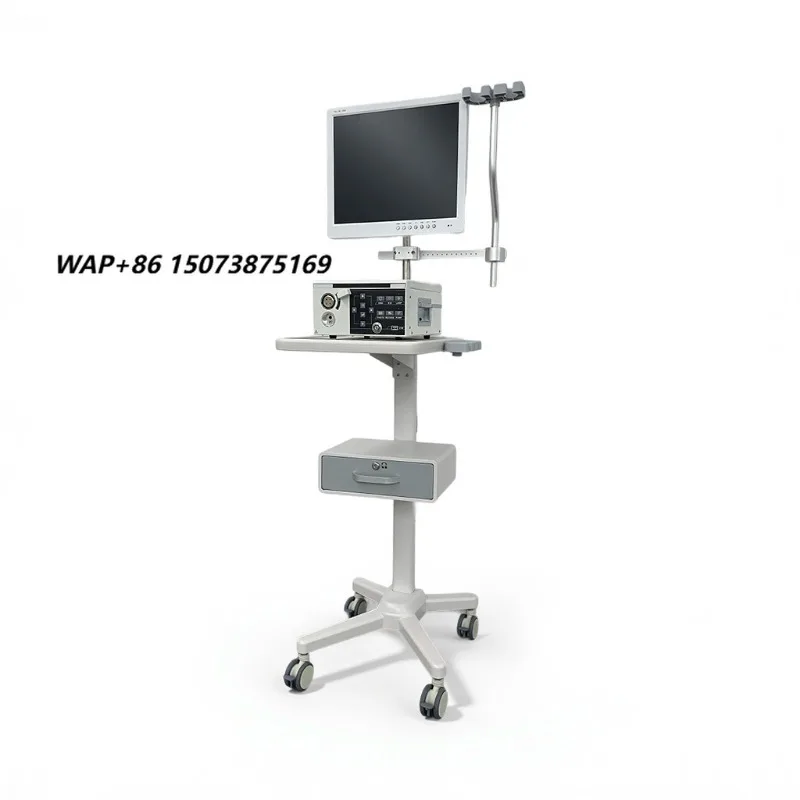 Veterinary endoscopy training teaching demonstration equipment high definition LED light flexible tube metal material 1 y