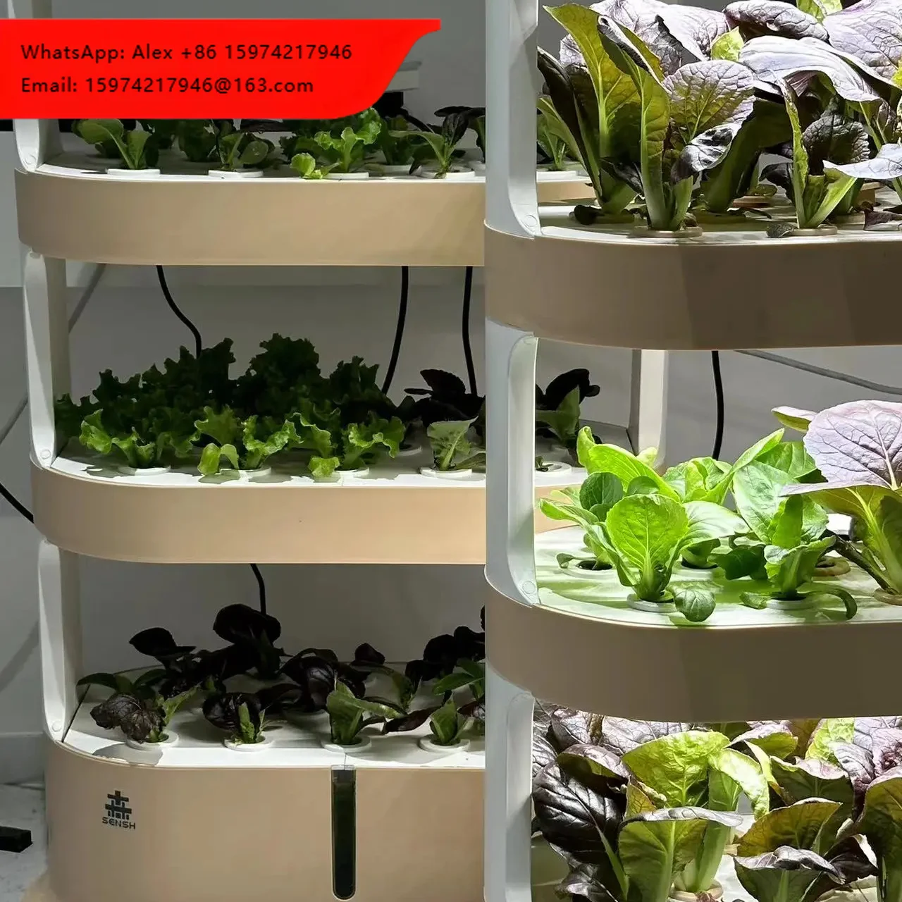 Modern Smart Hydroponic Planting System Indoor Hydroponic Tower