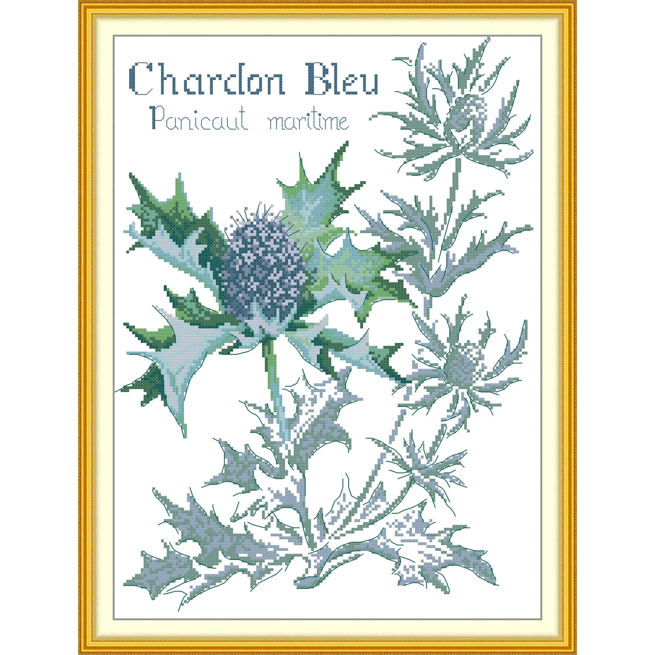 

Soulgift News Pre-Printed Cross Stitch Kit, Stamped Aida Fabric with DMC Threads, Embroidery Kit - Blue Thistle