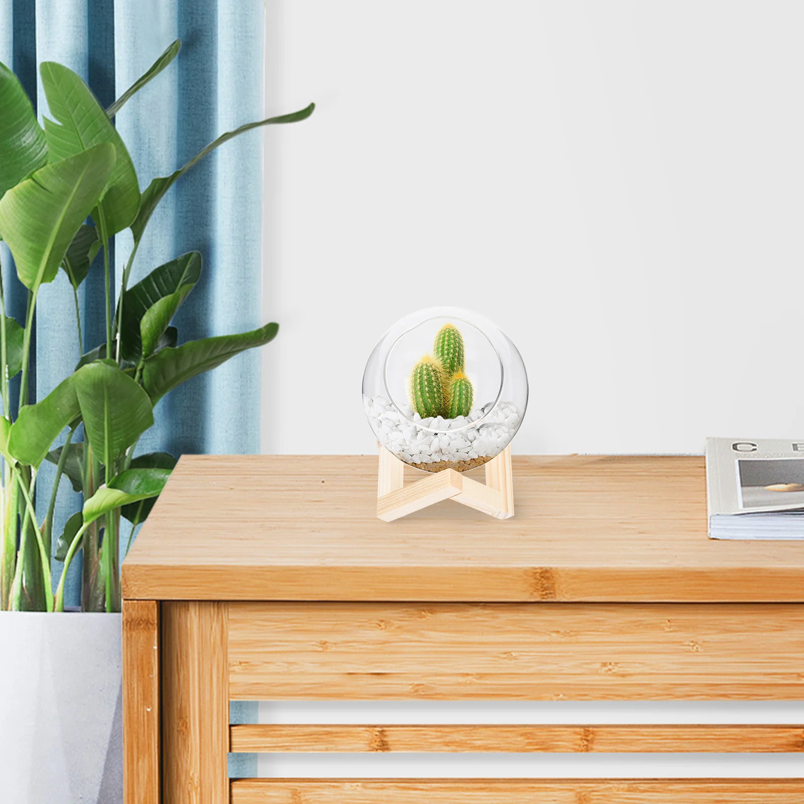 

1Set Succulent Flower Pot Transparent Glass Plant Container Suitable for Indoor Outdoor Gardening Balcony Window Sill Decoration