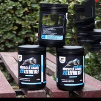 Dog Professional Muscle Builder Protein Powder Increase Power Endurance Dog Racing Bully Pitbull Greyhound Pet Nutrition 500g 4