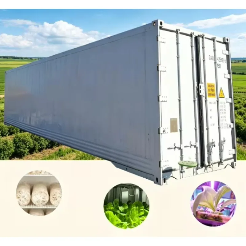 Customized Industrial Walk‑in Mushroom Cultivation Container System Intelligent Climate Control High Yield Commercial Mushroom