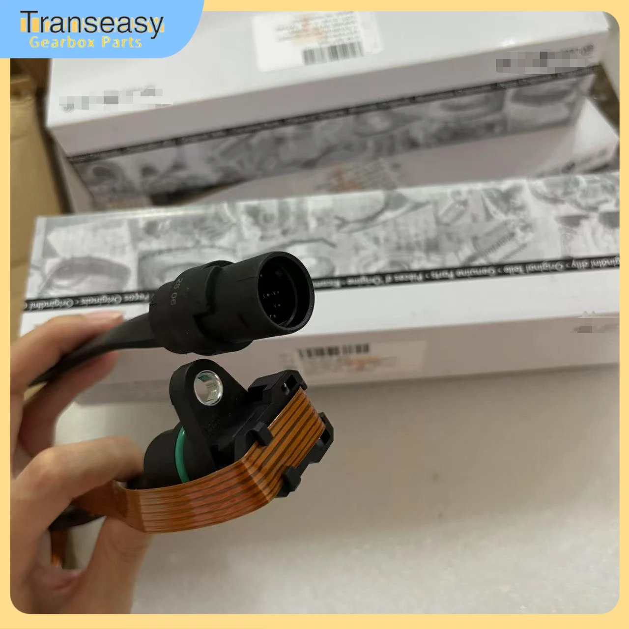 01M 01M325283A Transmission Internal Wiring Harness Sensor Shift Solenoid 095 096 G93 Suit For VW Audi Ribbon  01M927365