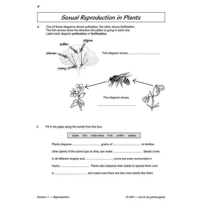 KS2 Science Year Five Workout Life Cycles  Reproduction CGP Books Coordination Group Publications 9781782940883 Book