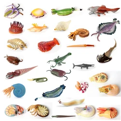 Plastic Prehistoric Sea Creature Ancient Cambrian Ocean Animal Nautilus,Trilobita,Baculite,Opabinia,Pikaia Marine Figurines Toys