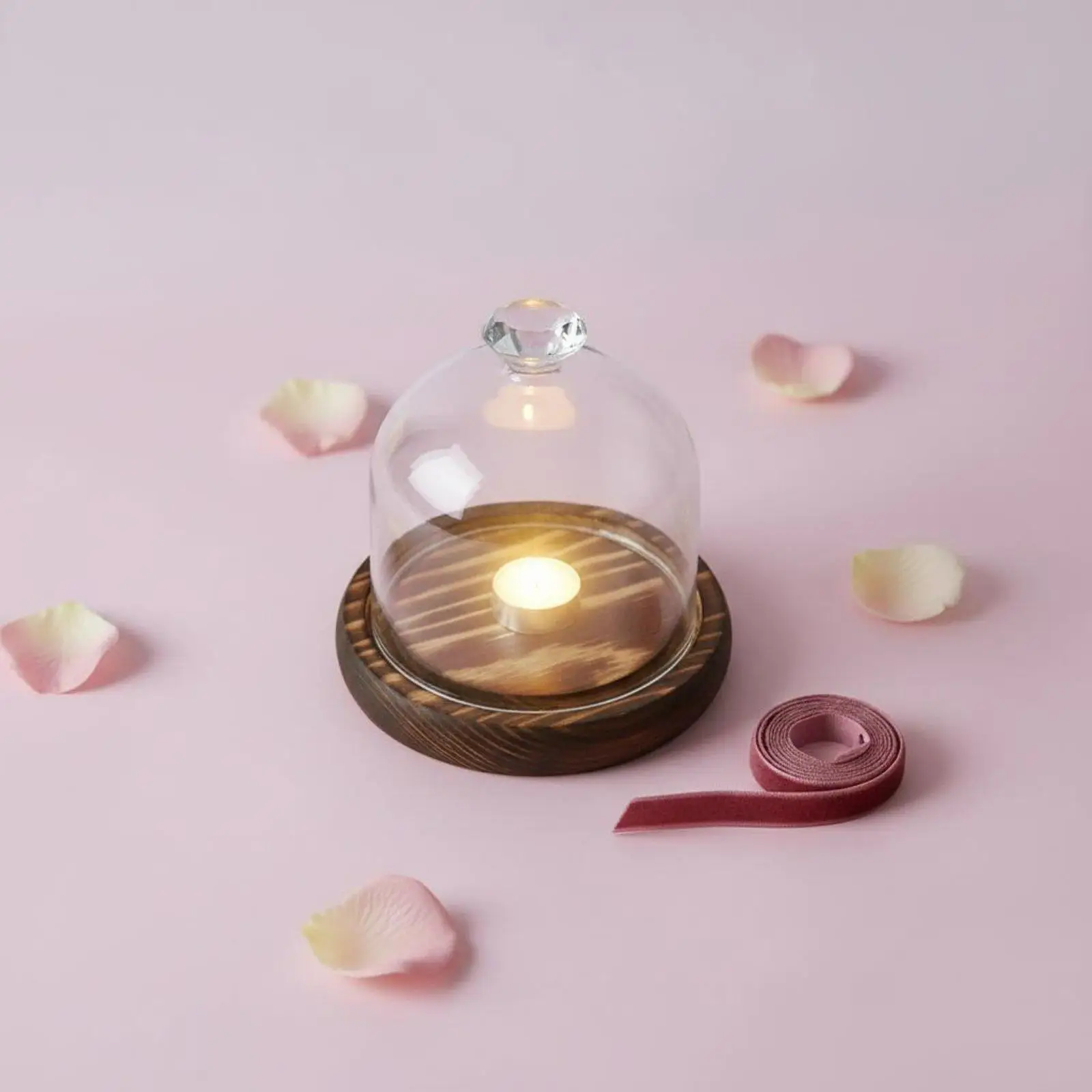 Dried Botanical Glass Cover Dustproof Decorative Display Cloche Handmade Glass