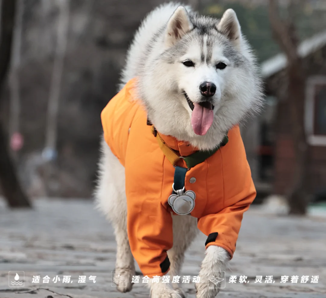 

Raincoat for Small and Big Dogs, Wind Coat, Windbreaker, French Bulldog Hoodie, Dogs Clothes, Jacket for Chihuahua
