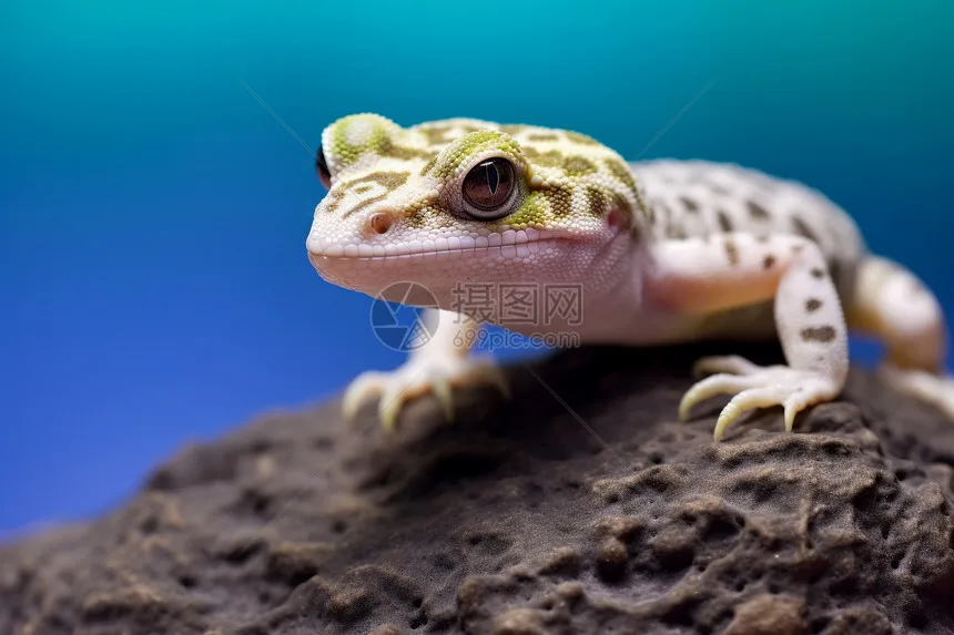 Mjx Hyper Go H12Y H… - image