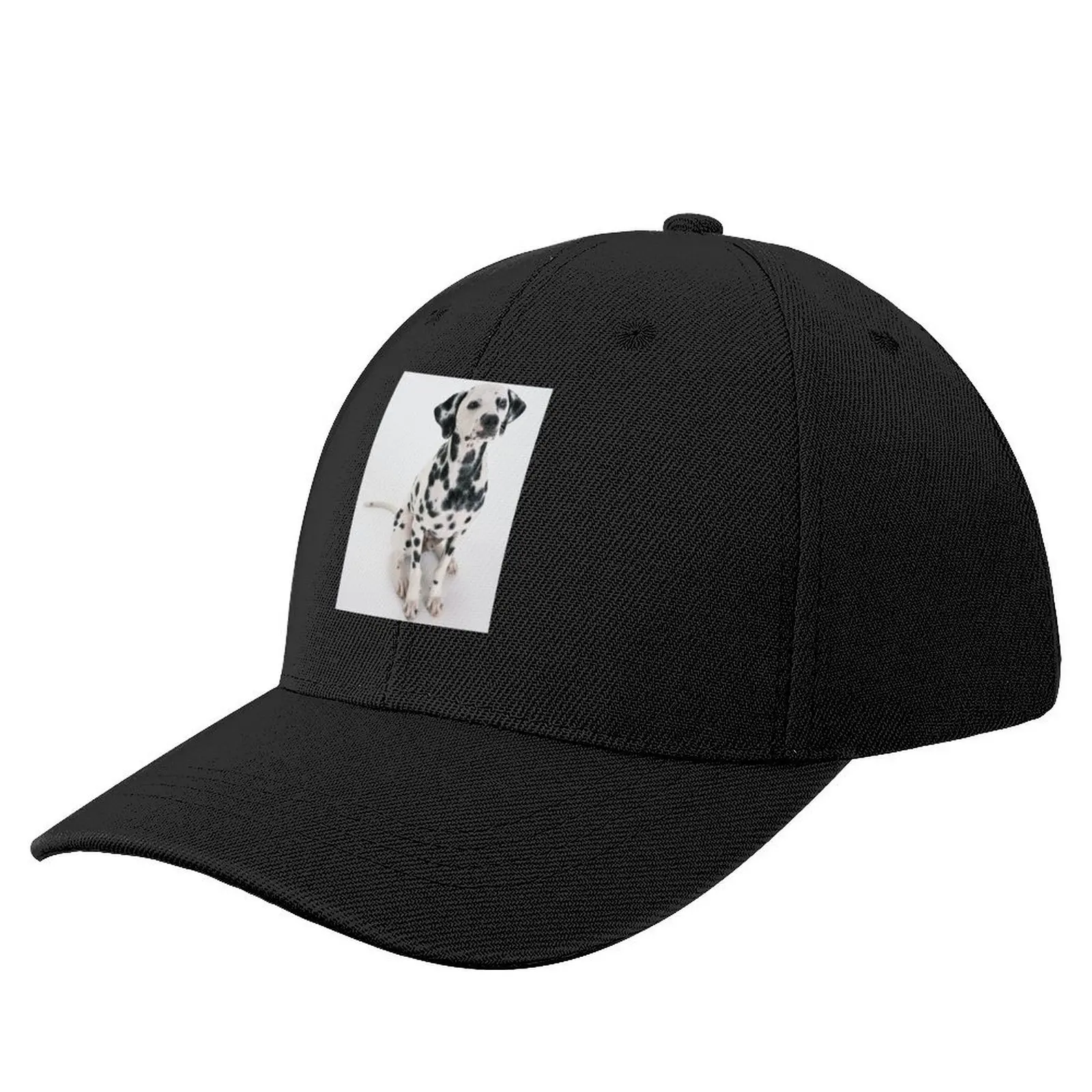 dalmatian dog Baseball Cap Hat Luxury Brand cute Women Beach Fashion Men's