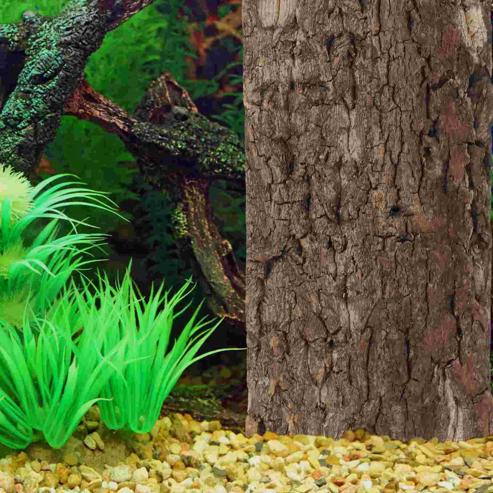 

3 Pcs Animal Fish Tank Landscaping Desktop Aquarium Decor Bark for Crafts Reptile Accessories Natural