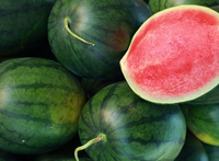 Watermelon seeds Rosario F1 1g more than 10 seeds