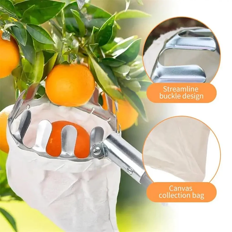 

Металлический сборщик фруктов с корзиной для ловли - садовый инструмент с длинным вылетом для вишни, орехов и мелких фруктов