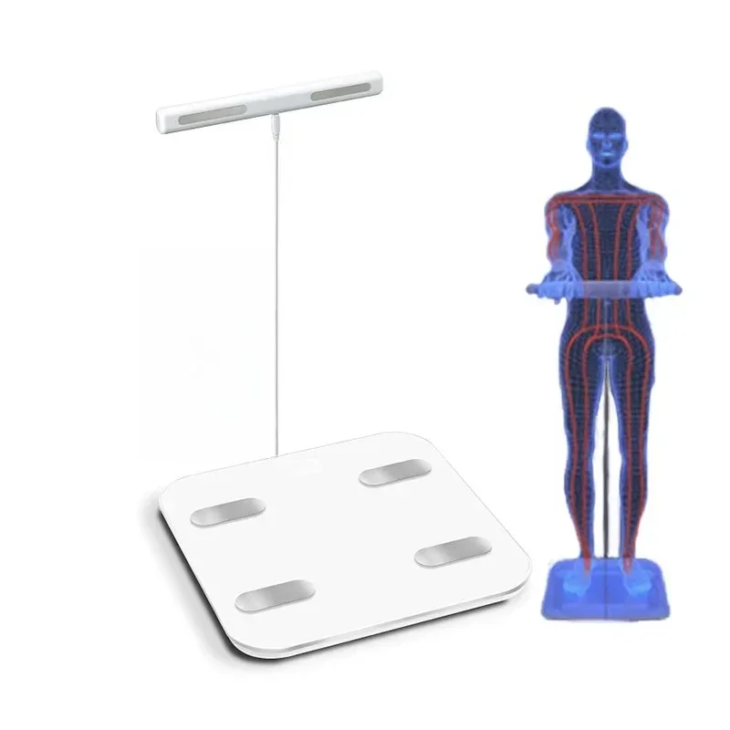 

LCD/Light Emitting Diode Display Handle Bar 8 Pole AI Electronic Balance Intelligent 3D Scanning Body Fat Composition Scale