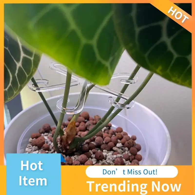 ABNL Plant Stem Support, Acrylic Plant Climbers Stem Holders Reusable Plant Growth Accessories Stakes For Growing Plants
