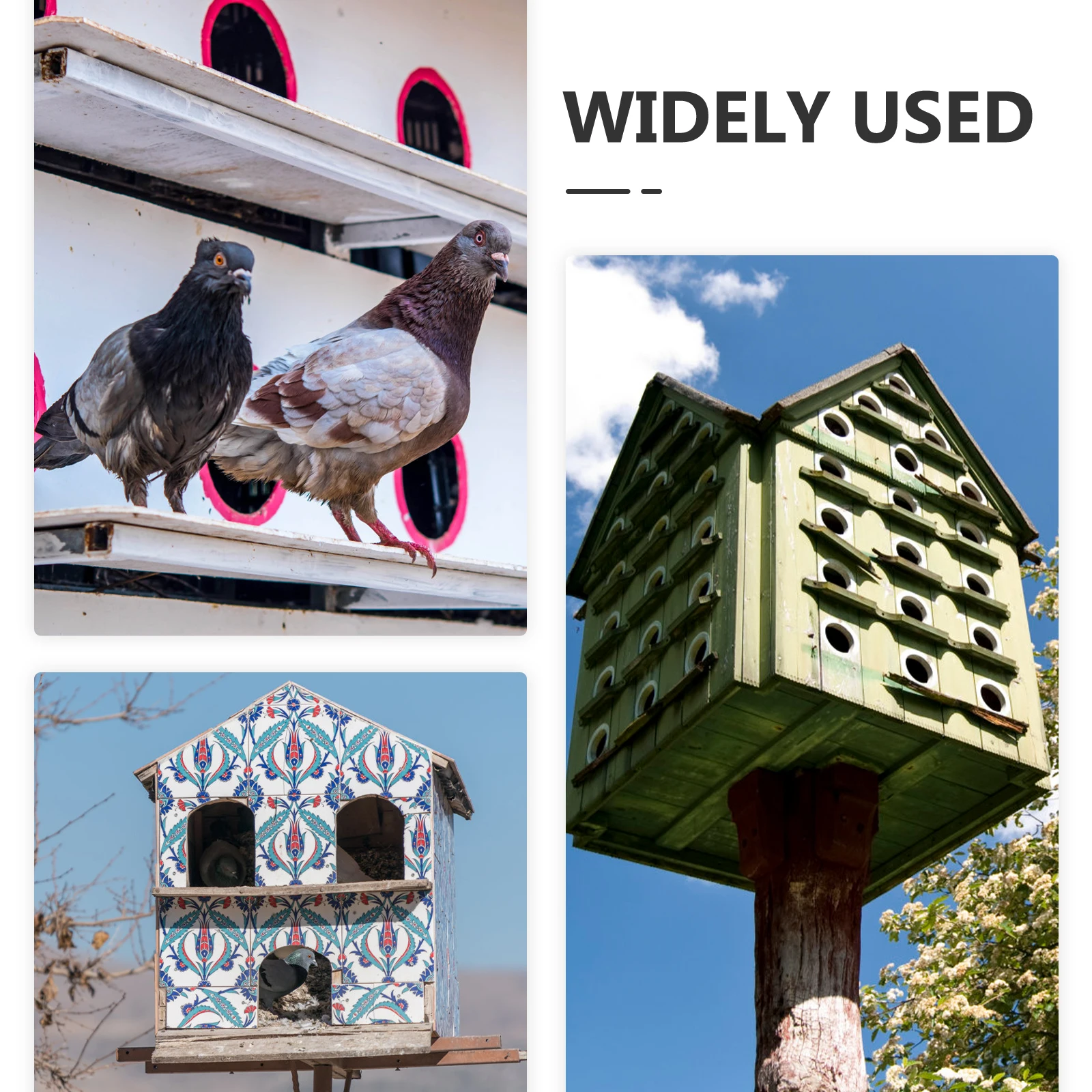 

Wooden Pigeon Cage Door with 2 Doors for Easy Access Durable Plastic Material Racing Supplies Dove Entrance Bird House