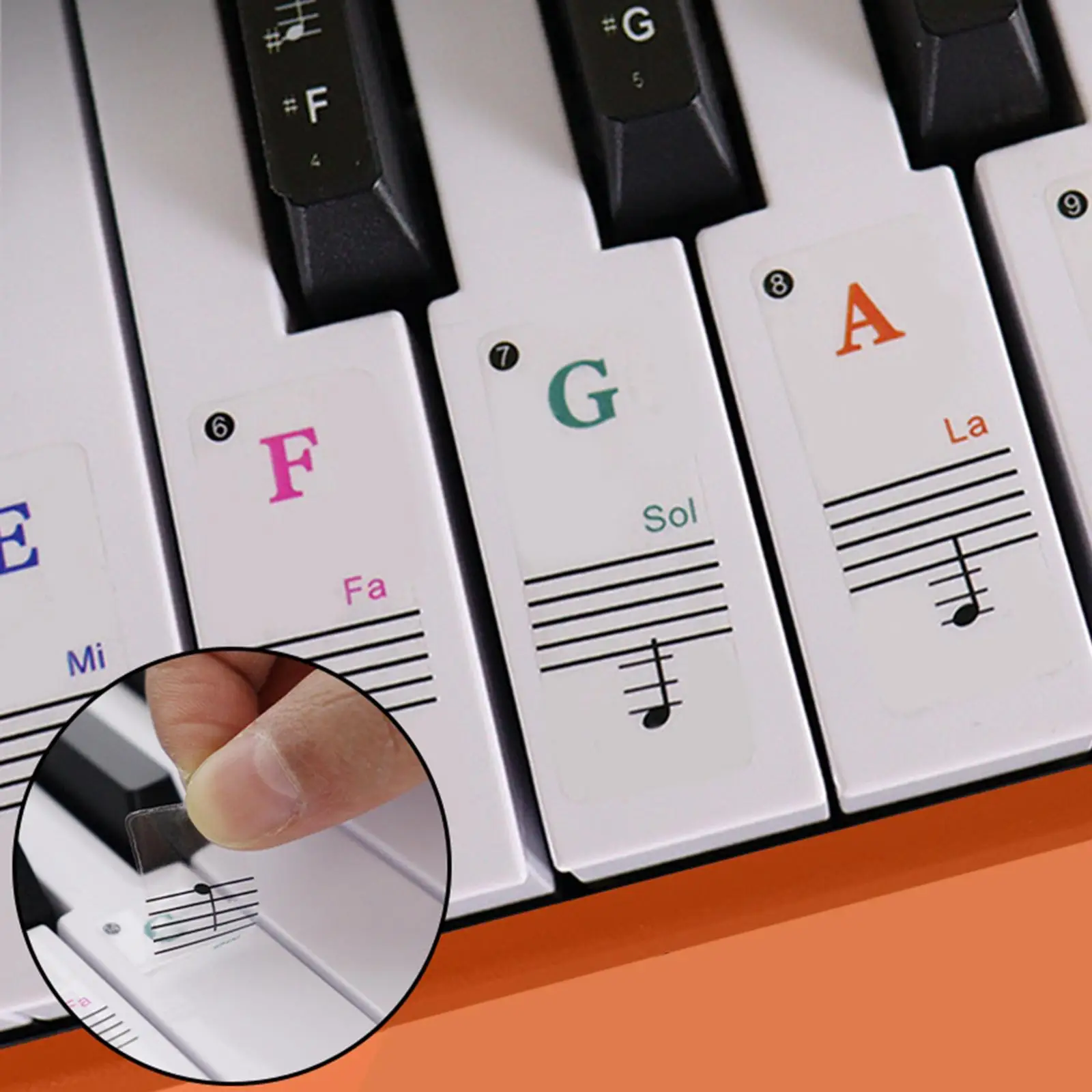 Piano Notes Guide Sticker for 88 61 54 49 Key Keyboard Transparent Removable Music Staff Paper Beginners Learning Aid