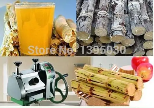 Macchina manuale per succhi di canna da zucchero in acciaio inossidabile, spremiagrumi per canna da zucchero, spremiagrumi per succo di canna da zucchero