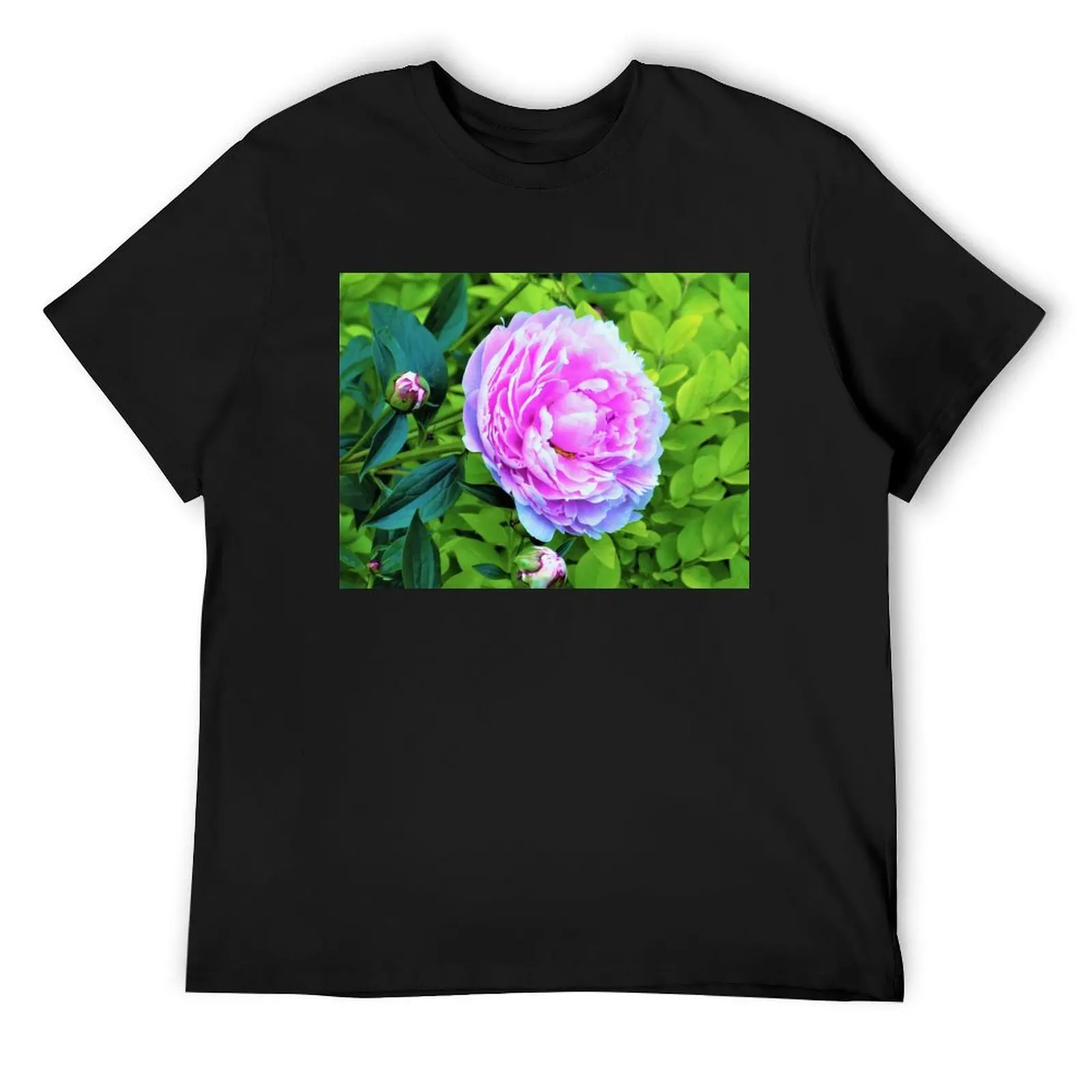 Pink Peony and Golden Privet Hedge Garden T-Shirt anime animal prinfor boys basketball graphic tees plain mens vintage t shirts