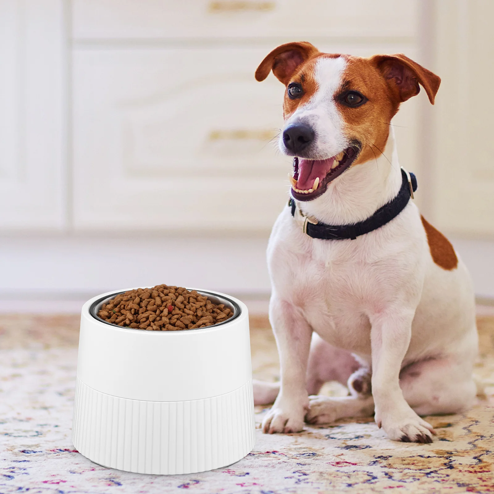 

Stainless Steel Pet Bowl Raised Dog Bowls White Small Size Elevated Feeding Stand Removable Bottom Stable Design Pet Supplies