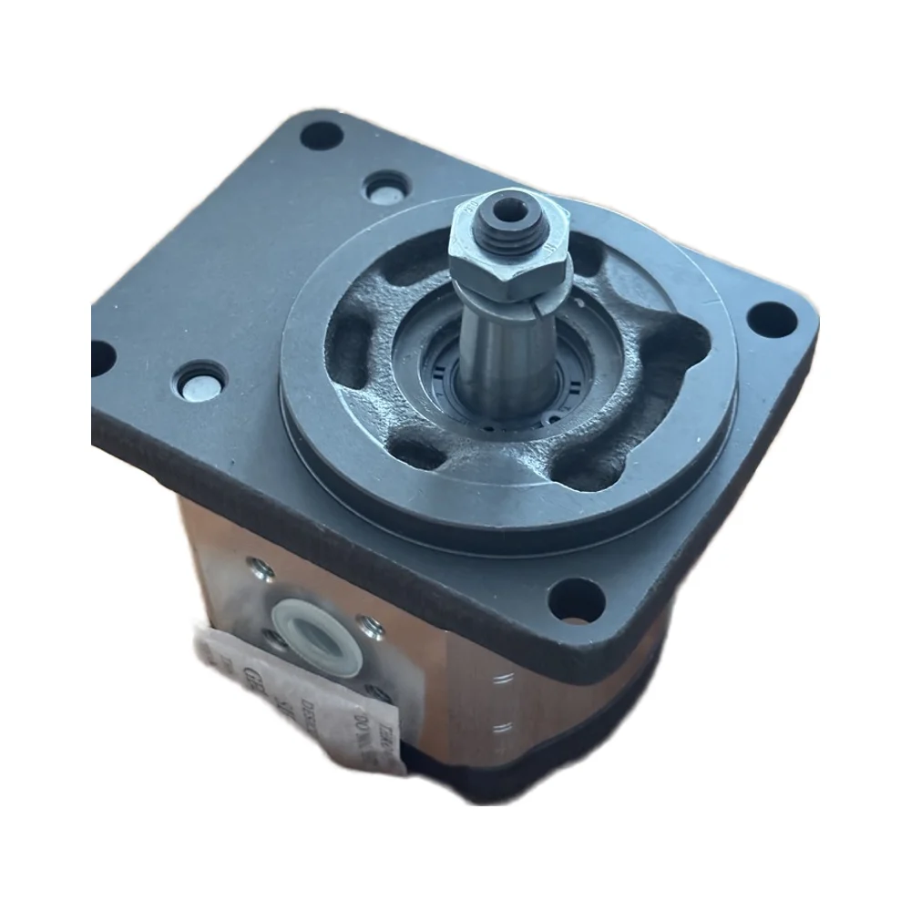 

Customized Marine Engine Hydraulic Pump High Pressure 180cm³ 30 1/4 Inch 0.5HP Hydro Brand New Hydraulic Pump