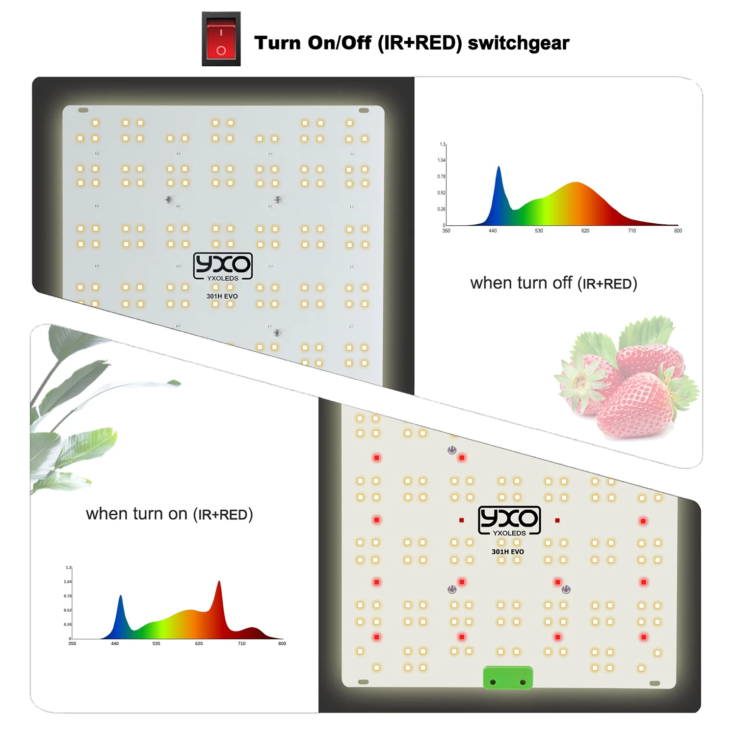 Tablero cuántico de floración de alta PPFD, lámpara Led Samsung de espectro completo para plantas, luz de crecimiento interior de 1200W