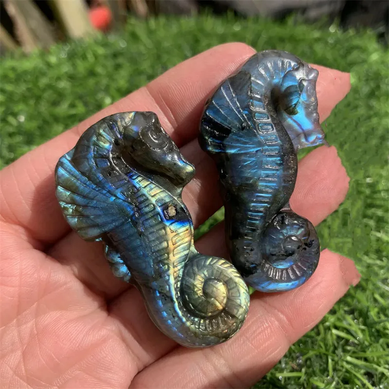 Natural Labradorite Hand Carved The sea horse Quartz Crystal Healing 1pc/Labradorite carvings/Halloween decorations