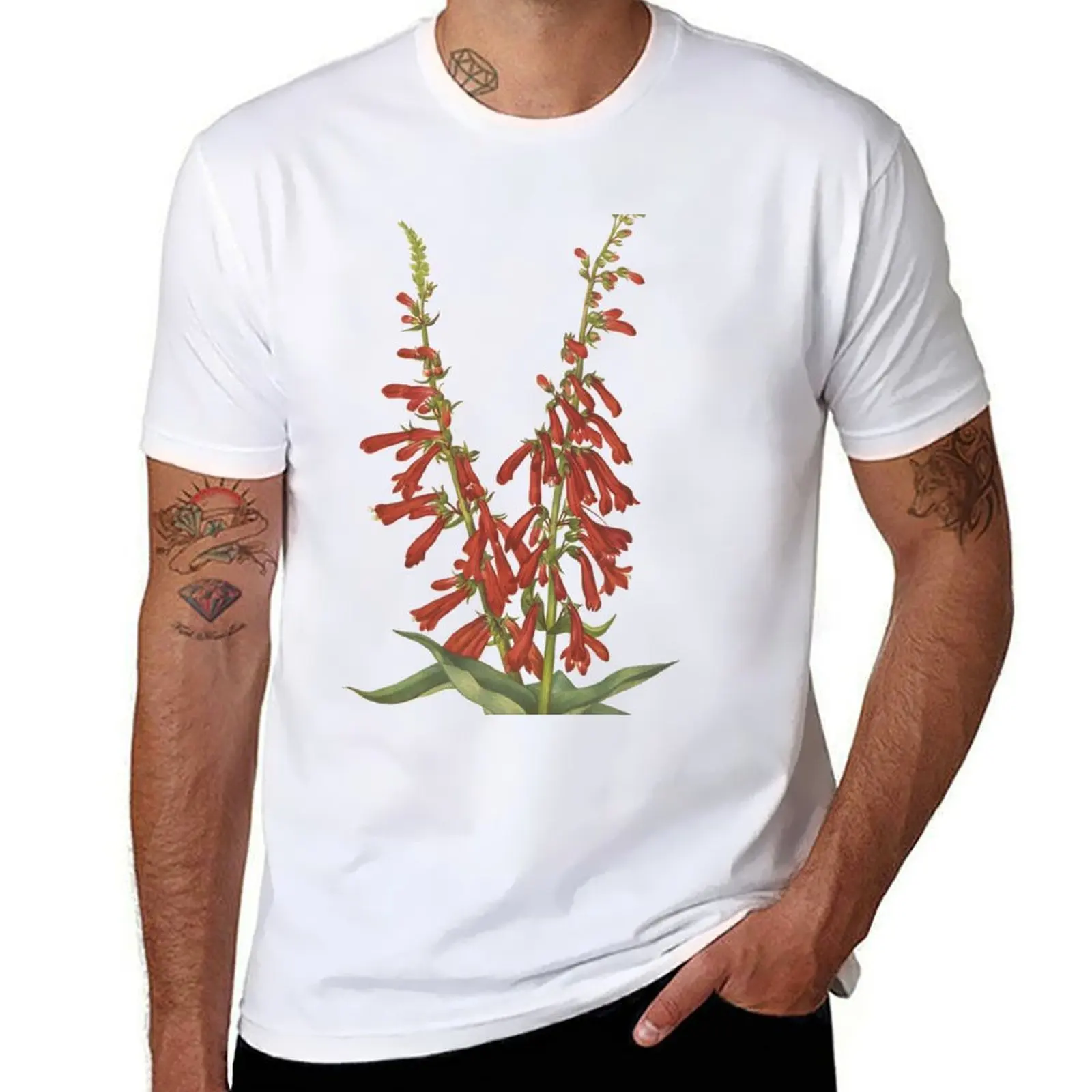 Vintage Botanical Flower Art - Firecracker Penstemon - Beardtongue - Penstemon eatonii T-Shirt plain T-shirt men