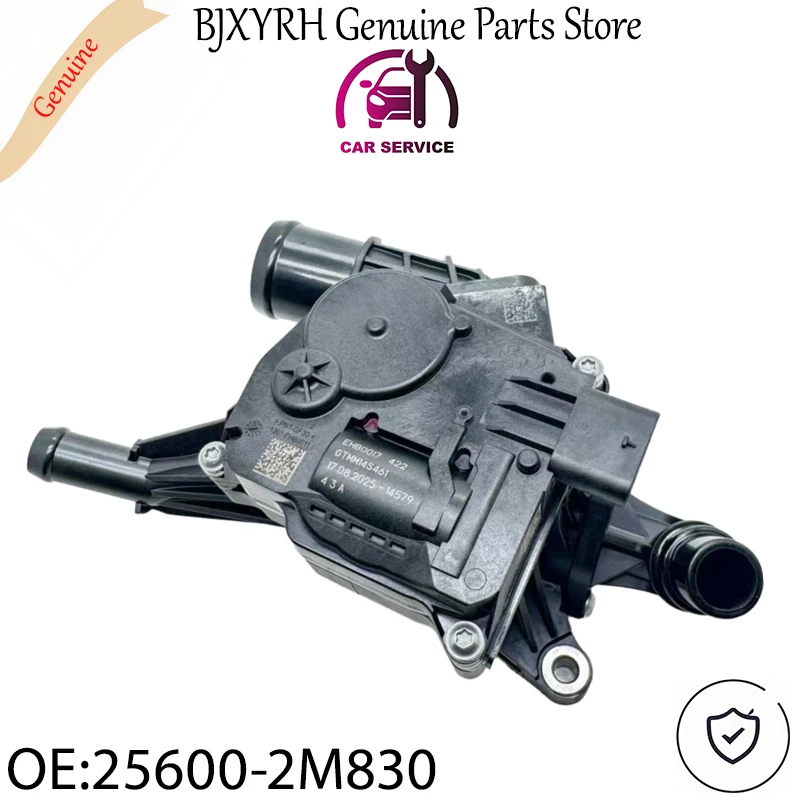 256002M830 Integrated Thermal Management Module for Hyundai/Kia G4FL/G4LE 1.5T Gamma-II 1.5 T-GDI OEM 25600-2M830