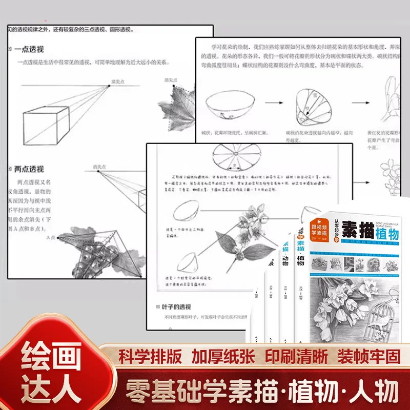 Zero-Based Sketching Beginner Guide, Plants Animals Figures Landscapes Complete Basic Drawing Tutorial