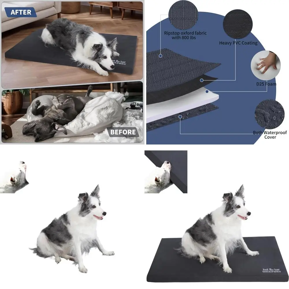 

Extra-Durable Waterproof Outdoor Dog Bed, Chew-Resistant & Stable, Ideal for Indoor Cats, X-Large Charcoal (42x28x2in)