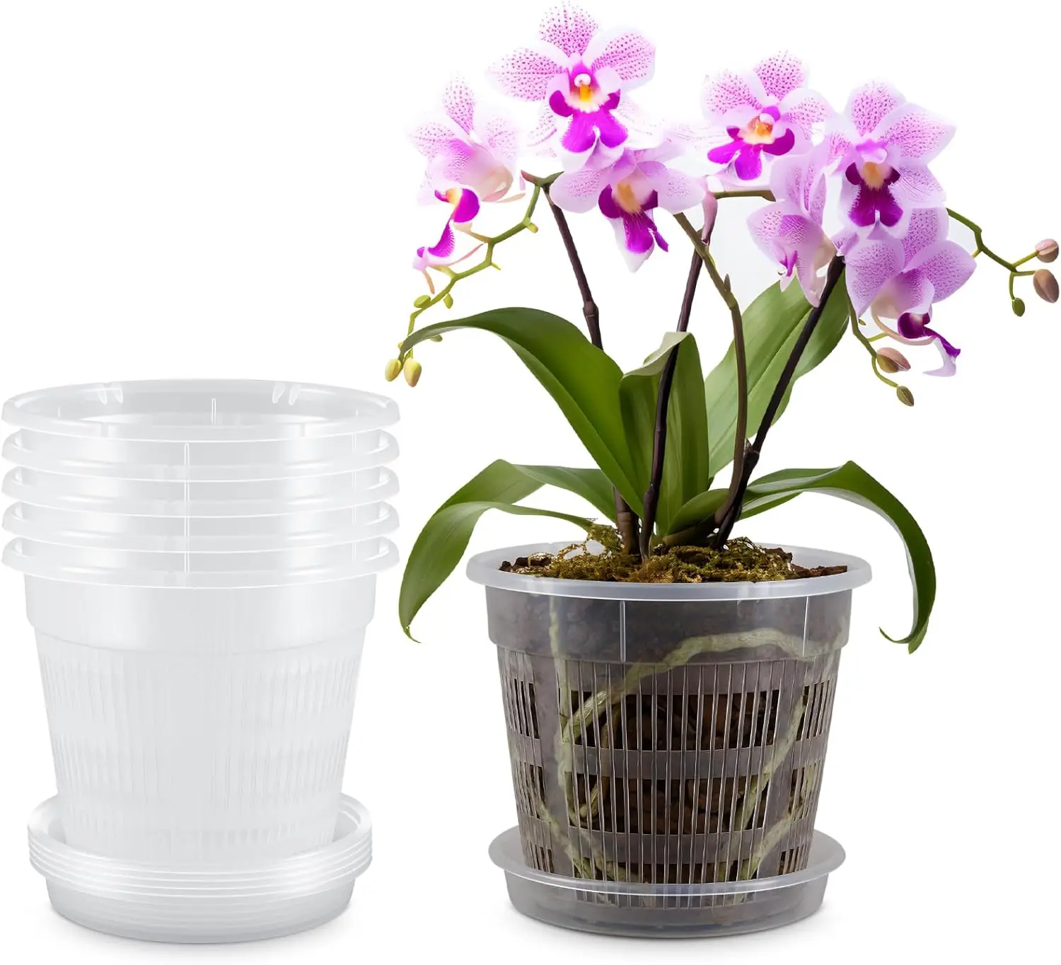 

6 Pack Orchid Pot with Holes and Saucers 7.5 Inch Clear Plastic Planter with Holes Trays Breathable Slotted Flower Plant
