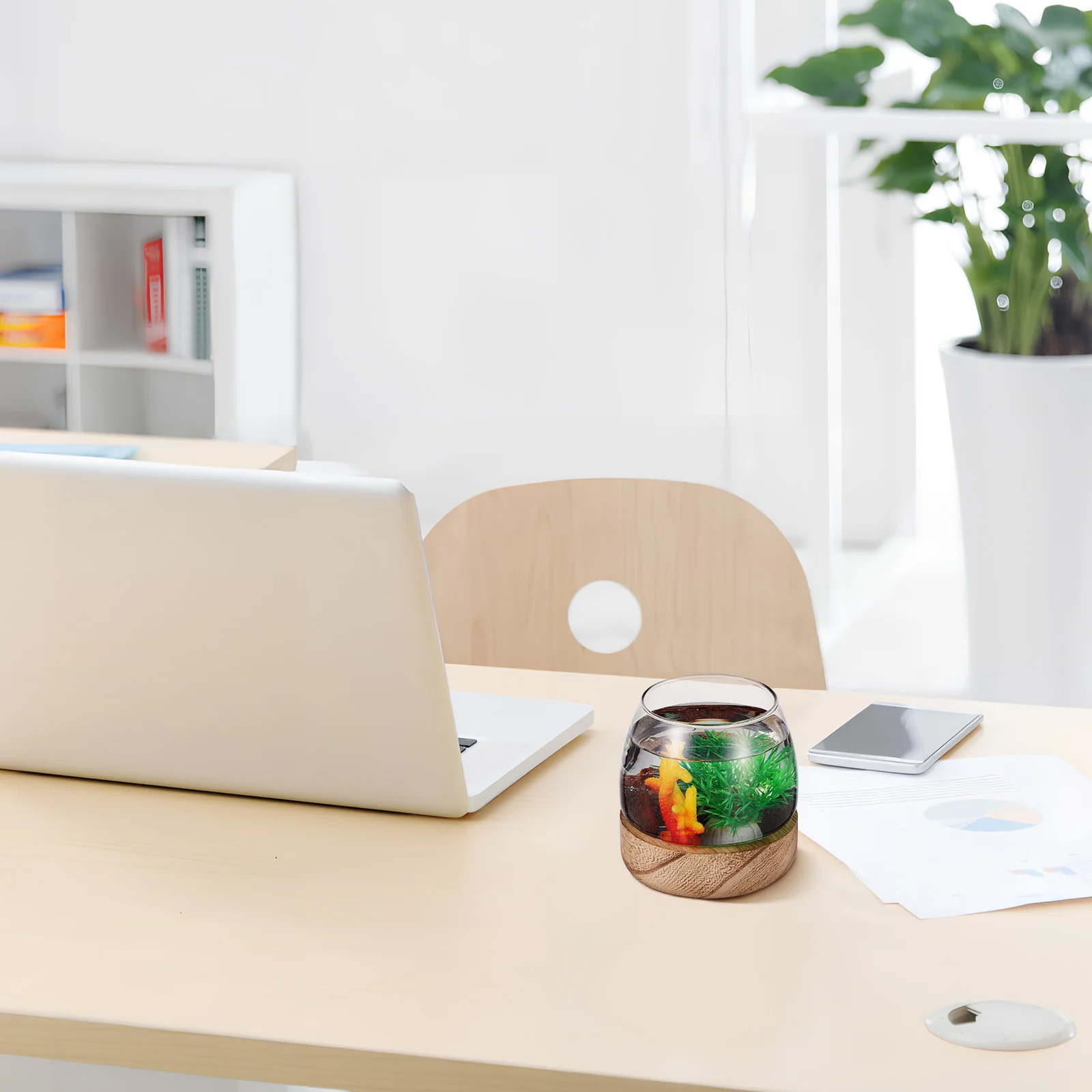 

Glass Fish Tank Goldfish Bowl with Wooden Base Round Terrarium for Desktop Home Office Decor Aquarium Tank for Fish Or Plants