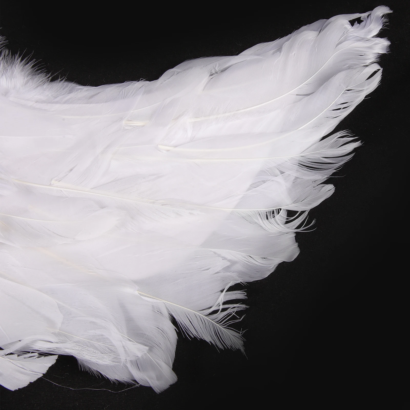 

Wings Costume Party Fairy Cosplay Aldult Holiday Makeup Props Halloween