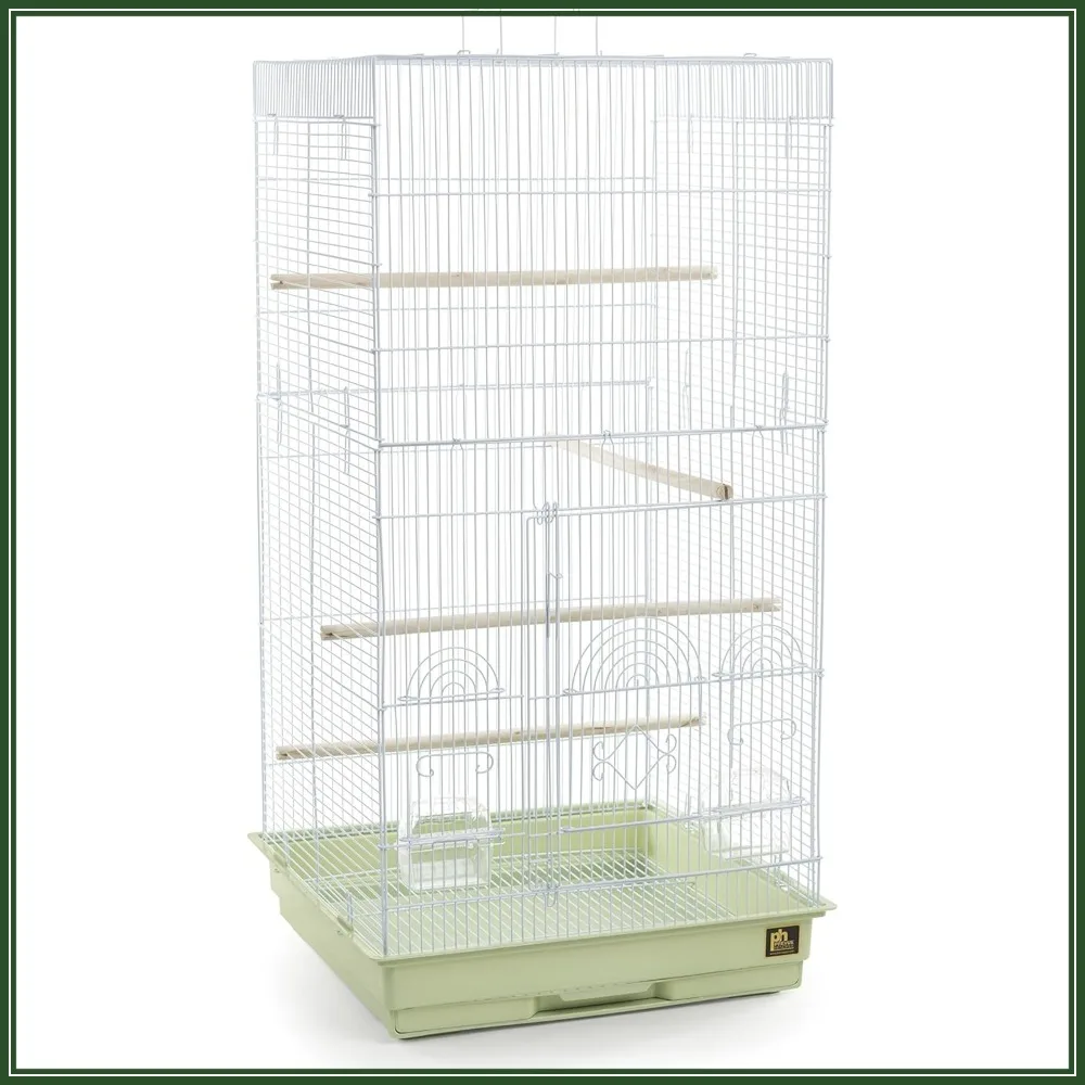 

Tall Tiel Cage for Birds, Sage Green, Large Spacious Home