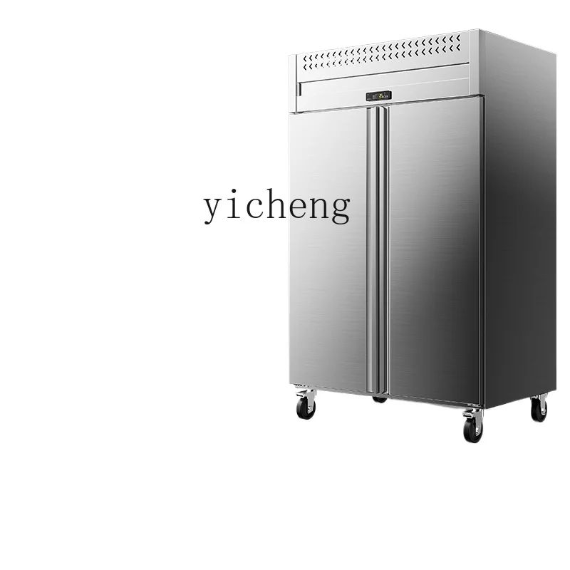 Tqh Fast Frozen Refrigerator Frozen Freezer Sea Cucumber Steamed Stuffed Bun Mousse Strip Cabinet Low Temperature