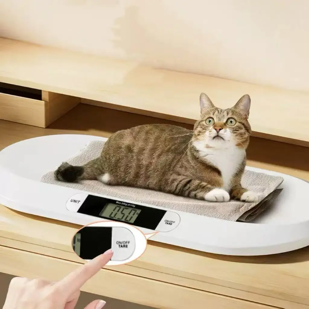 Factory Direct Sales Digital ABS Plastic Precision Electronic Weighing Scale For Cats Dogs Small Animals Eco-Friendly Easy Use