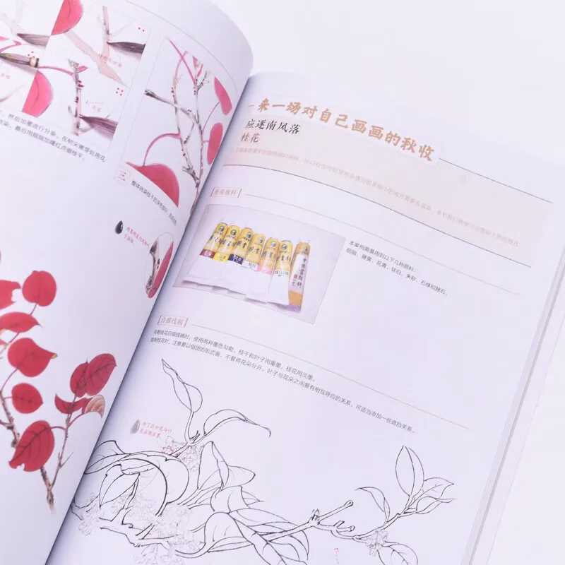 Introduction to Gongbi Drawing Techniques Tutorial Traditional Chinese Painting Xie Yi Book