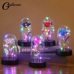 Gifts For Women Beauty And The Beast Preserved Roses In Glass Galaxy Rose LED Light Artificial Flower Birthday Gift For Girls