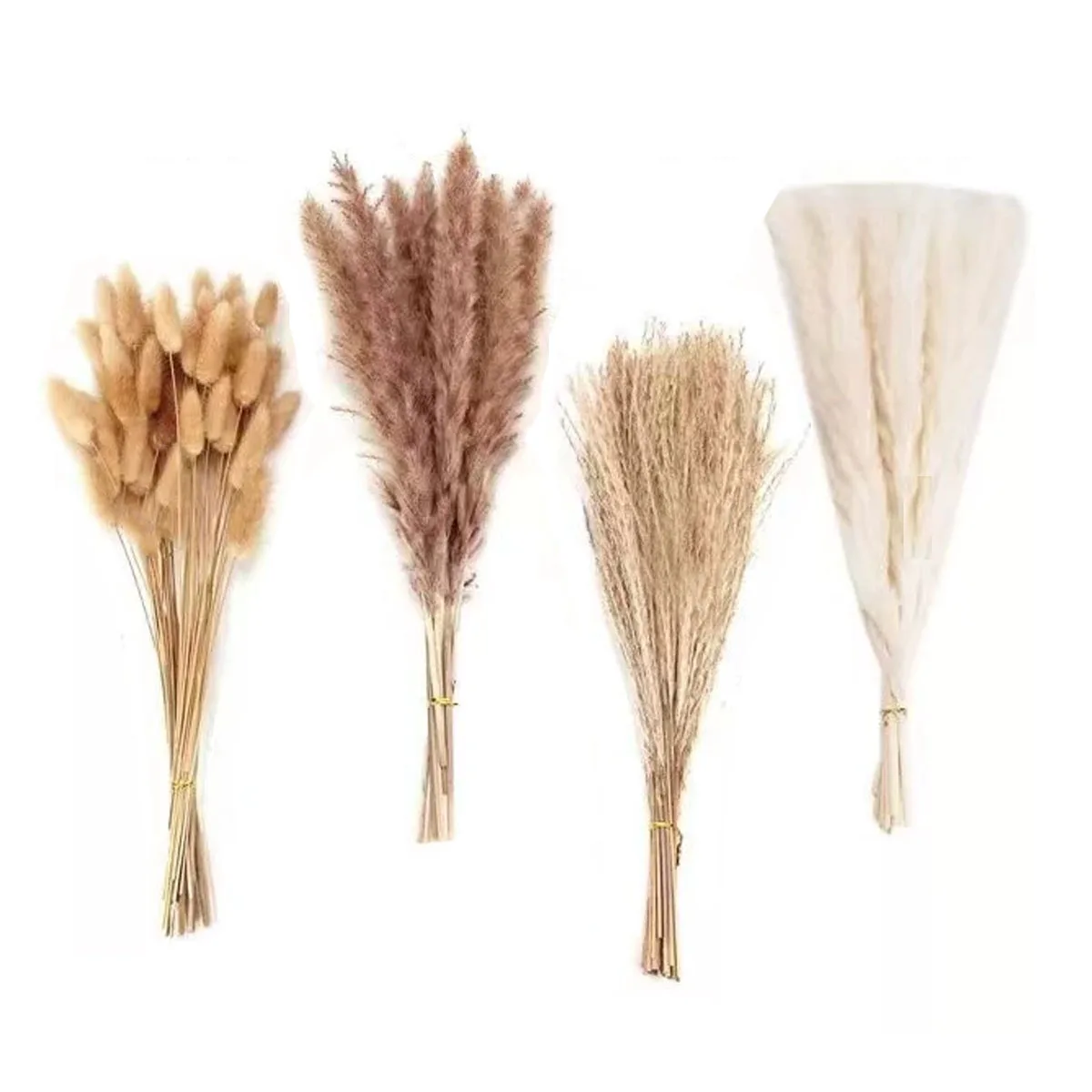 

Dried Pampas Grass Decor, 100 PCS Pampas Grass with Bunny Tails Dried Flowers Reed Grass Bouquet for Wedding Boho Home Table